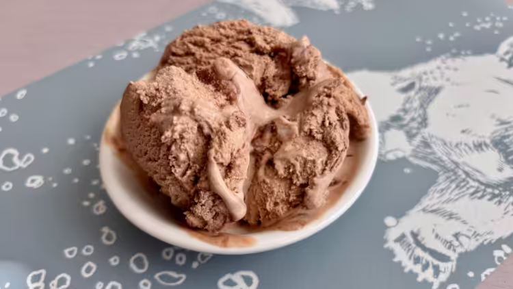A bowl of Ice Cream for Bears's Chocturnal ice cream on top of a picture with polar bears.
